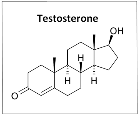 , Testosterone, Progesterone, estrogen, PMS, Premenstrual Symptoms, Periods, Menstrual Cycles, Womens Health, Nutrition, Lapp The Brand, Tumblr